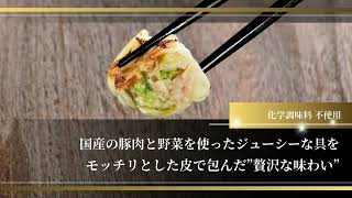 オークワプレミアム　九条ねぎ餃子