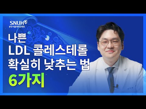 LDL 콜레스테롤 낮추는 법 6가지 [숫자로 보는 건강]