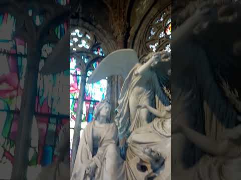 #shorts THE MOST AMAZING TEMPLE OF PETER AND PAUL BELGIUM/УДИВИТЕЛЬНЕЙШИЙ ХРАМ ПЕТРА И ПАВЛА БЕЛЬГИЯ