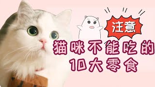 猫咪禁忌！猫咪不能吃的10大零食