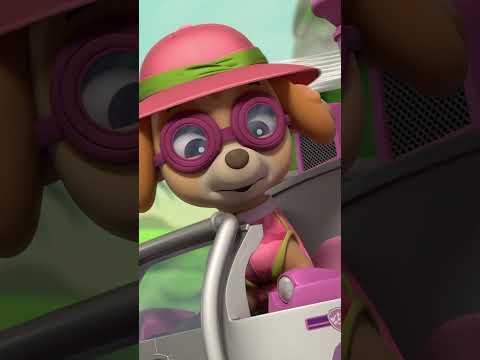 Jungle Rescue Pups save the Flamingo dance contest! #pawpatrol #shorts