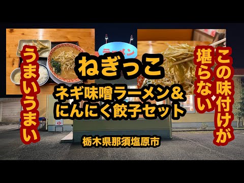 【栃木グルメ】ラーメンねぎっこ西那須野店（那須塩原市）人気ラーメンチェーン店でネギ味噌ラーメン＆にんにく餃子＆半ライス