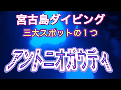 宮古島ダイビング　三大スポットの１つアントニオガウディ