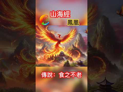 中国神话007｜Chinese mythology｜山海经｜凤凰