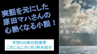 実話を元にした原田マハさんの心熱くなる小説！『翼をください』を紹介（年間500冊の読書家このこねこの1日1冊本紹介）