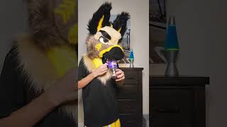 pepsi #furry #fursuit #fursona #furryfandom#fursona #furries #furrymeme #furrycommunity #oc #furries