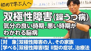 第二部各論　第１章３節　双極性障害Ⅰ型Ⅱ型（躁うつ病）について解説します【精神科医が一般の方向けに病気や治療を解説するCh】