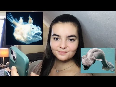 ASMR Whispering Facts About the Deep Sea | 30 Unbelievable Deep Sea Creatures