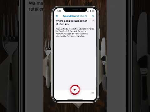 Gift Ideas - SoundHound Chat AI Demo