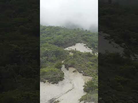 竜ヶ岳への登山道トレラン