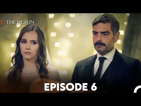 The Pigeon Episode 6 (FULL HD)