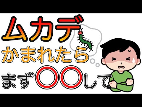 すぐにできる、ムカデにかまれたときに痛みを軽くする方法【小児科医が解説】