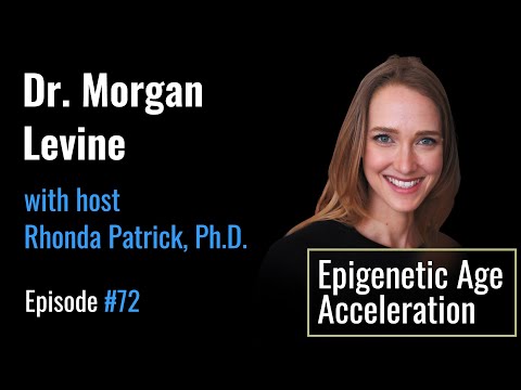 Morgan Levine, PhD, on PhenoAge and the Epigenetics of Age Acceleration — can we change the pace?