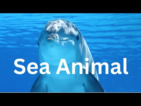 Sea animals #seaanimals #seaanimal #seaanimalsname #seaanimalsforkids #educationalvideo