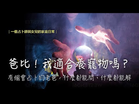 ｜一個占卜師與女兒的家庭日常｜本日占卜主題｜你適合養寵物嗎？｜