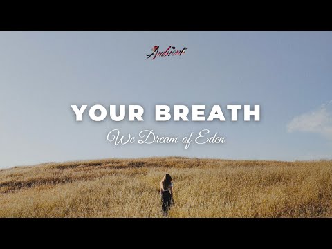 We Dream of Eden - your breath [ambient relaxing drone]