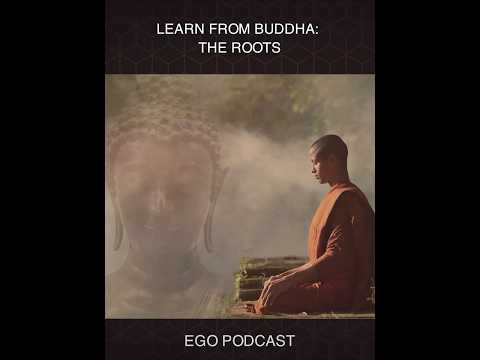 Learn from Buddha: The Roots