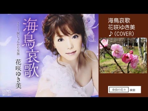 海鳥哀歌　３　花咲ゆき美　♪COVER　uguis karaoke