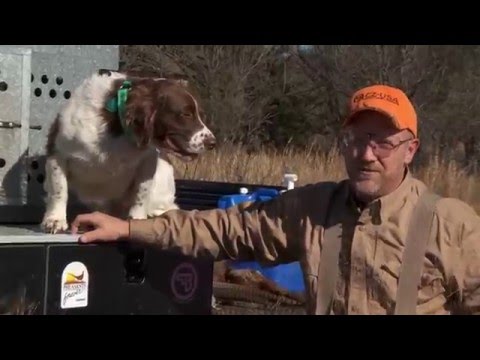 Dog Handling vs. Shotgun Handling -- Safe Shooting Tips with Dave Miller