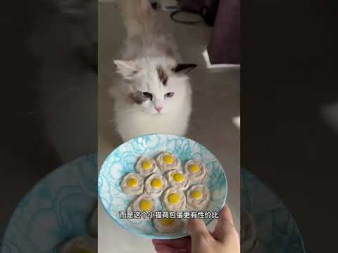 邻居家猫偷吃被抓包后委屈了… #猫和孩子 #我和我的猫