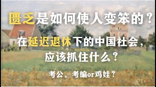 一集看懂中国人迷信铁饭碗的根源：匮乏是如何使人变蠢的？在延迟退休下的中国社会，应该抓住什么？｜考公｜考编｜鸡娃｜创伤｜