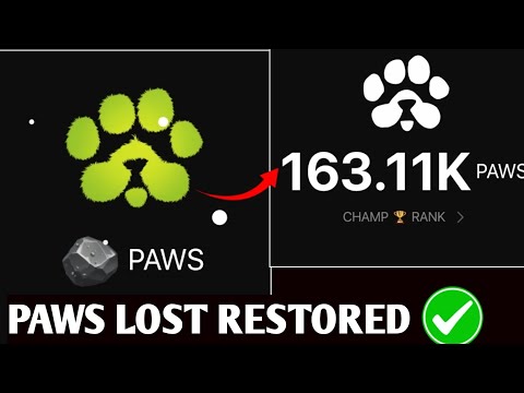 PAWS Update : PAWSMAS Quest Complete | Balance Restored ✅