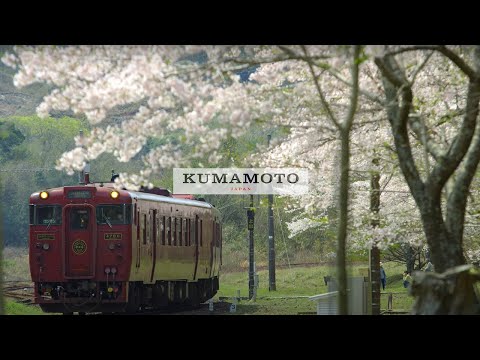 [Spring] Kumamoto, Japan 8K - 熊本県