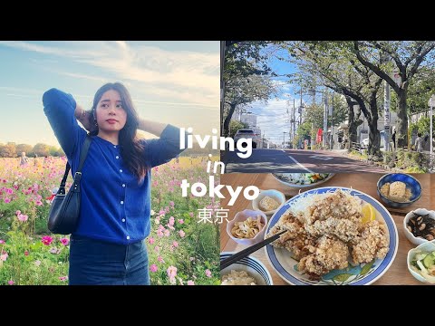 Living in Tokyo | wedding anniversary, new restaurants