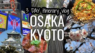 The 3 day itinerary vlog in Osaka and Kyoto | Japan travel