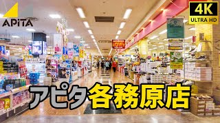 【各務原市】 アピタ各務原店を歩く / Shopping Mall Walking Tour 【岐阜県】