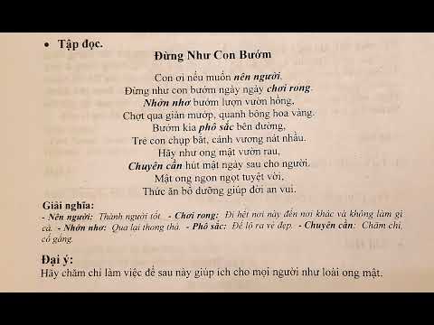 BIN&BIN | Đừng như con bướm