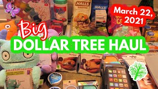 Big DOLLAR TREE HAUL!  New, Fun Finds!  March 22, 2021  #LeighsHome