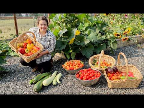 Full September Garden Tour and a Massive Harvest!