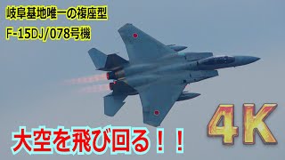 【4K】飛実唯一の複座型イーグルさん！！7/8なので…爆音で大空を暴れまわるF-15DJ/078号機 まとめ【岐阜基地】