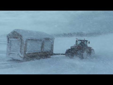 Sleep Peacefully with the Gentle Sound of Falling Snow | Snowstorm & Howling Wind Sounds for Relax