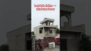 #pigeon#kabuterlover #pigeonlover #youtubeshorts #shortvideo #kabutarstatus #pigeons #kabuter