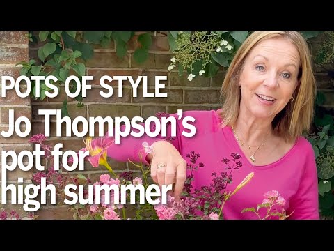 Jo Thompson explains her designs for a summer pot using hemerocallis