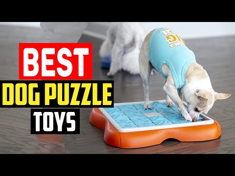 ✅Best dog puzzle toys in 2023