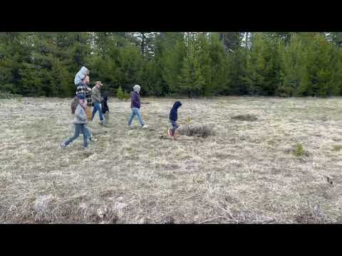 Family Adventures in Cow Meadow, Near Craine Prairie Reservoir in the Central Oregon Cascades.