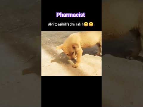 #pharmacist #shortsfeed #shorts #short #viral #trending #upsc #pharmacy #youtubeshorts