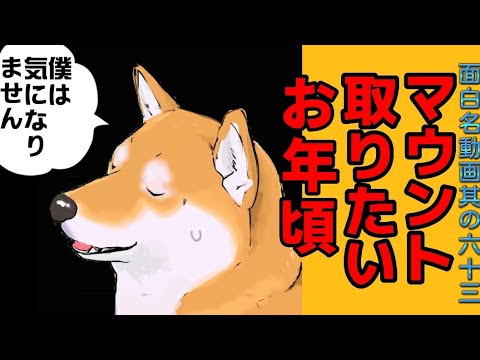 【世界の終わりに柴犬と】切り抜き編集 # 63《そうなのか。》/意識無意識/  #世界の終わりに柴犬と  #アニメ  #柴犬