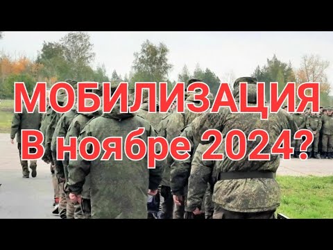 МОБИЛИЗАЦИЯ  в ноябре 2024? Уголовное дело от ВОЕНКОМАТА-когда? СТРИМ #мобилизация, #призывнойюрист