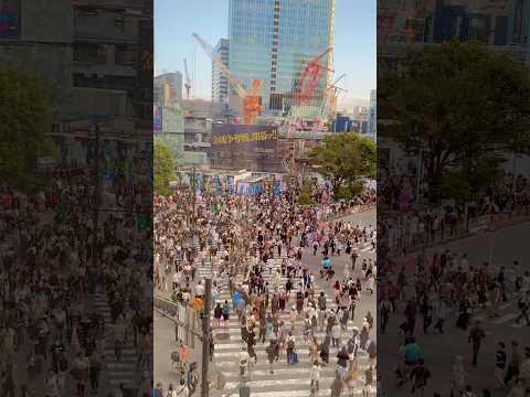 世界最忙路口：東京澀谷路口The busiest intersection in the world: Shibuya Intersection in Tokyo#日本#东京#涩谷#路口#Tokyo