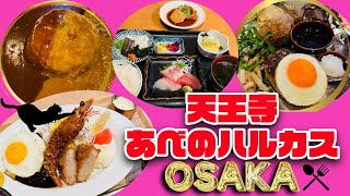 【大阪グルメ】天王寺駅周辺の厳選ランチディナー#osakagourmet#あべのハルカス