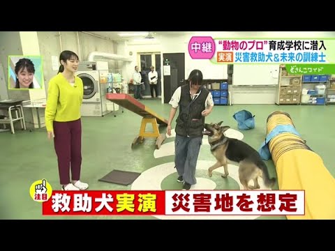 動物のプロを育成！道内随一の動物専門学校に潜入【どさんこワイド179】2024.11.08放送