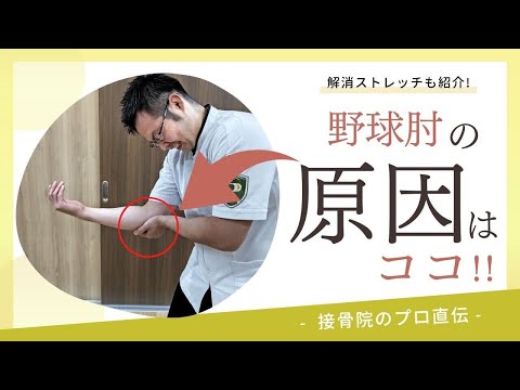 【肘内側の痛み〜野球肘〜】ボールを投げたり、物を持ち上げると肘の内側が痛い方へのストレッチ！｜接骨院のプロが教えるお家セルフケア｜テラピスト接骨院