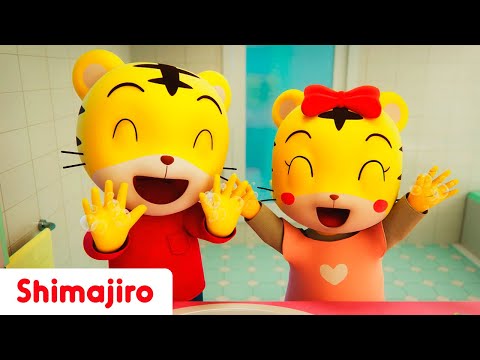 Wash your hands! 🧼 | Healthy skills with Shimajiro | Kids songs & Nursery Rhymes