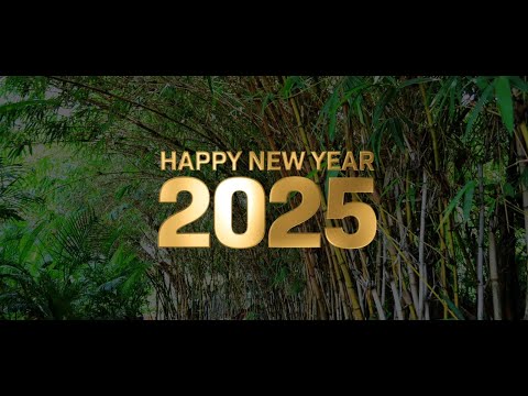 Happy New Year 2025! | LVPEI