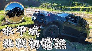 4runner水牛坑越野挑戰初體驗，根本看著天空開車？｜2021 Toyota 4runner