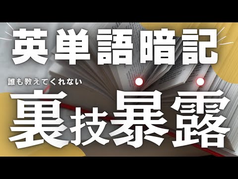 【見なきゃ後悔】英単語を最速かつ確実に定着させる裏技４選